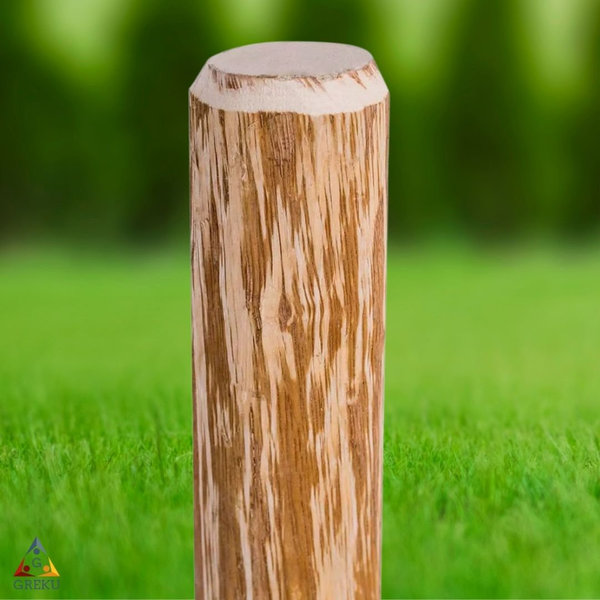 Angespitzter Holz Zaunpfahl 4 Stück Haselnuss Holz 120cm